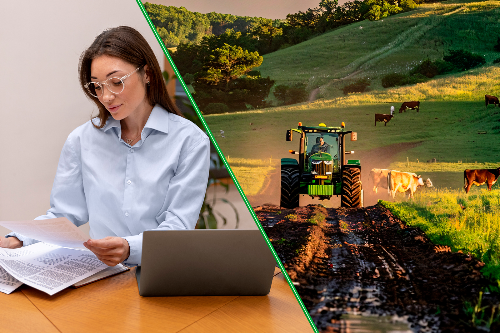 Materiais e relatórios administrativos